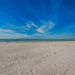 Fins Up In Clearwater Beach