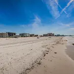 Fins Up In Clearwater Beach