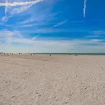 Fins Up In Clearwater Beach