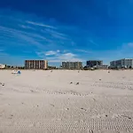 Fins Up In Clearwater Beach