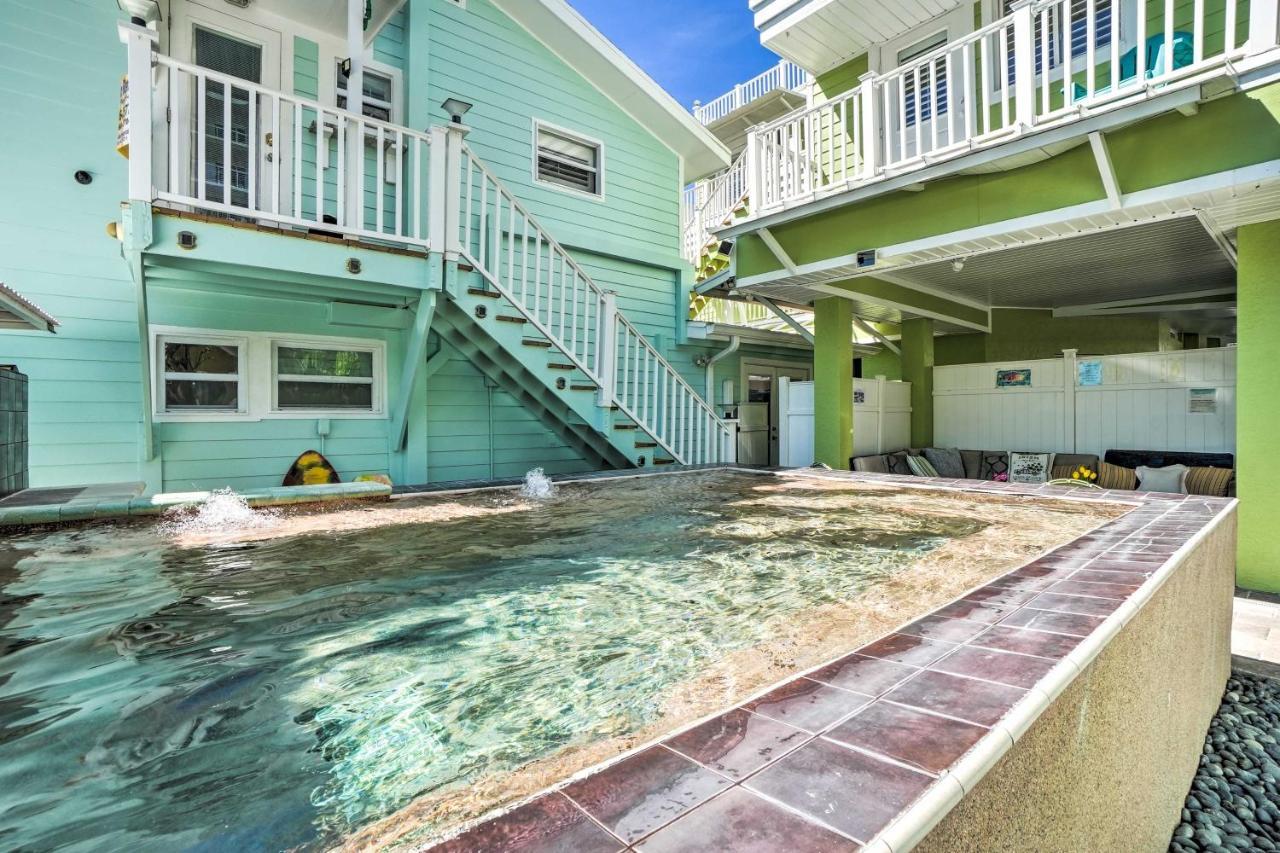 Sea Turtle With Clearwater Views *