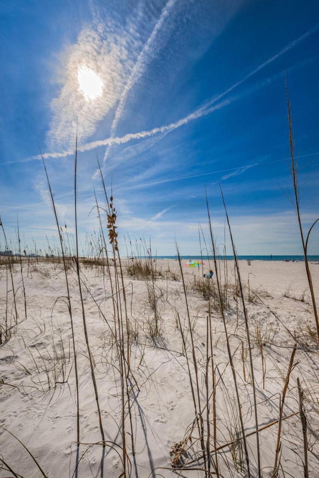 Fins Up In Clearwater Holiday home *