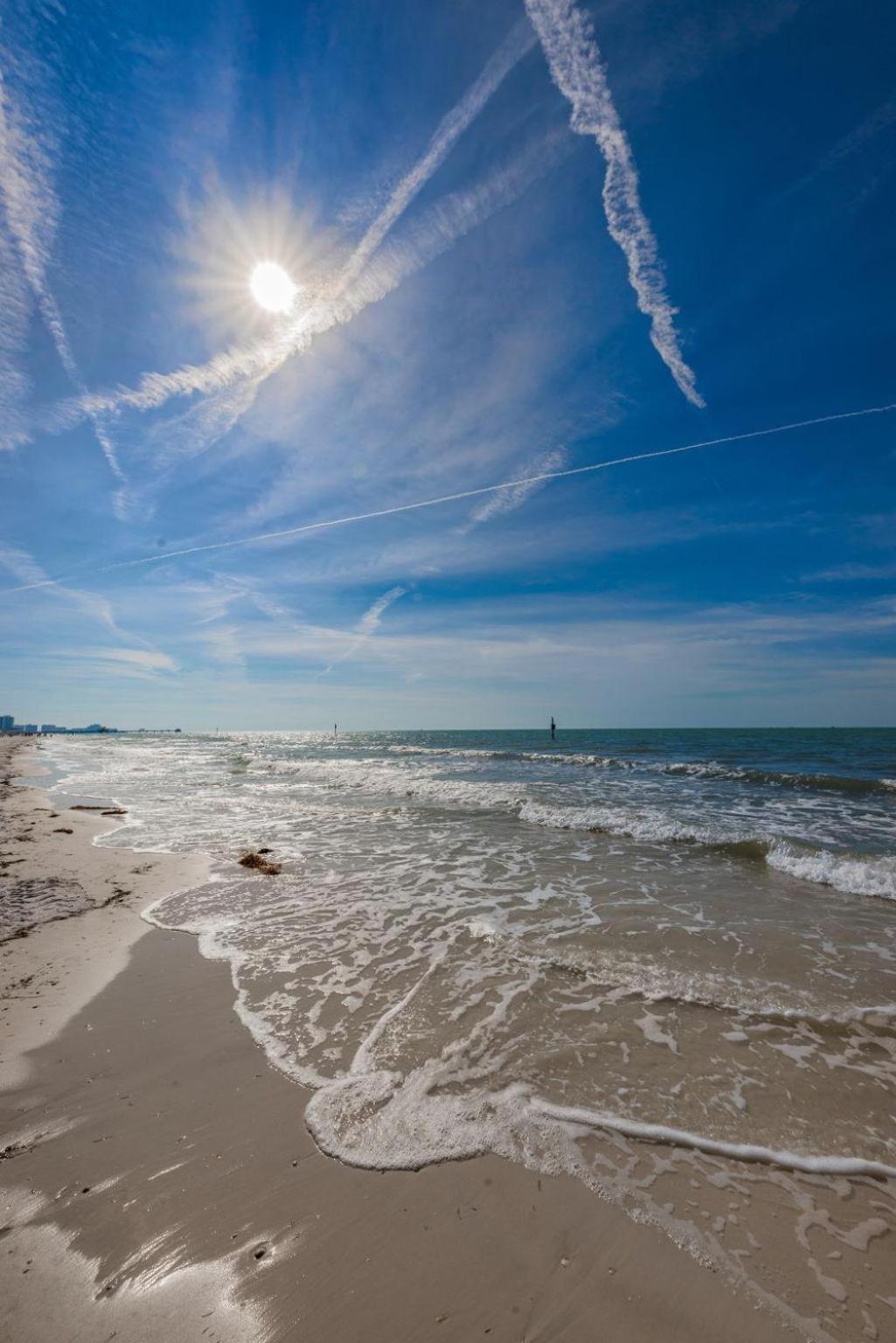 Fins Up In Clearwater Clearwater Beach