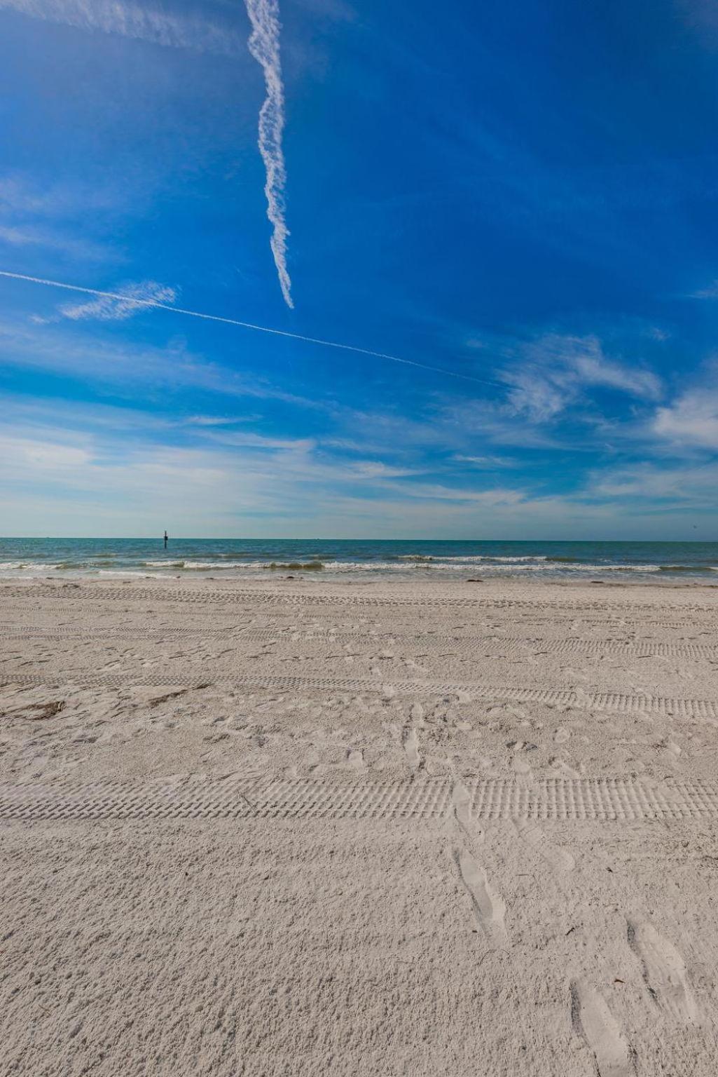 Fins Up In Clearwater * Clearwater Beach