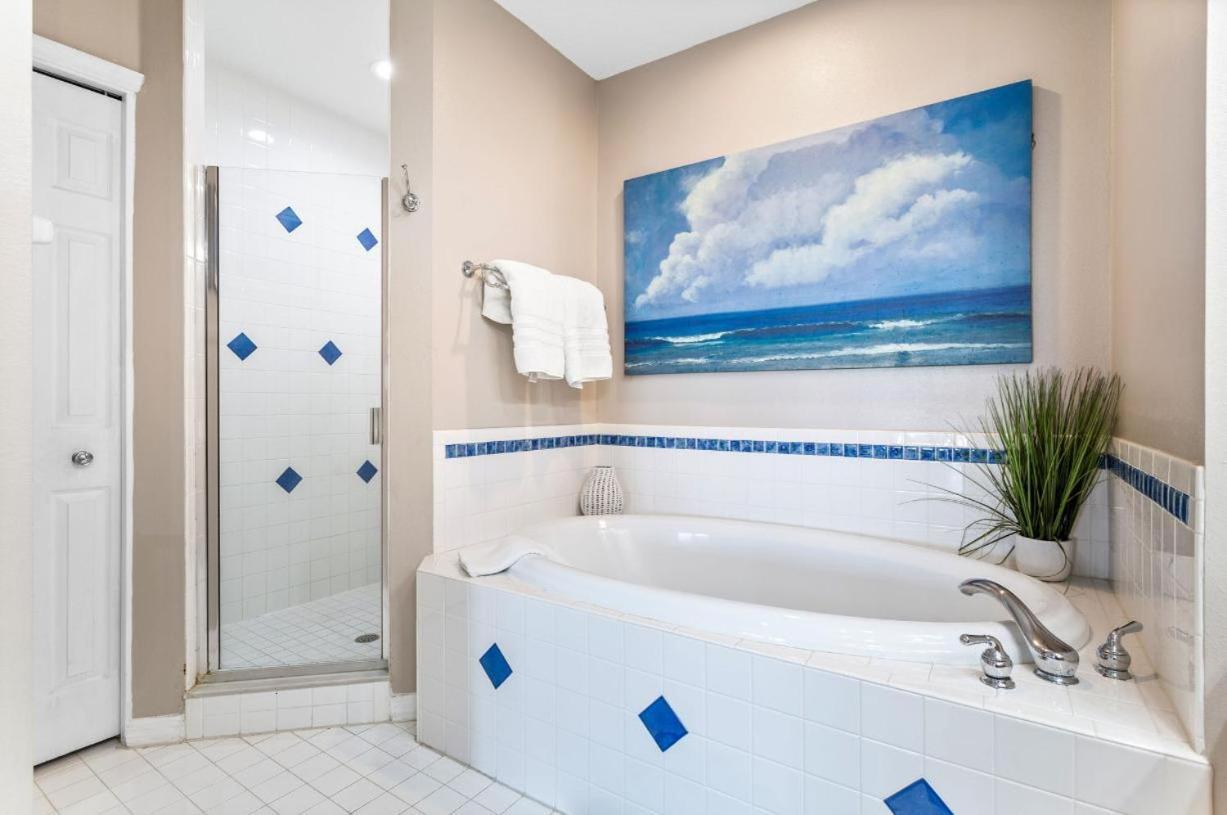 Harborview Oasis In Clearwater