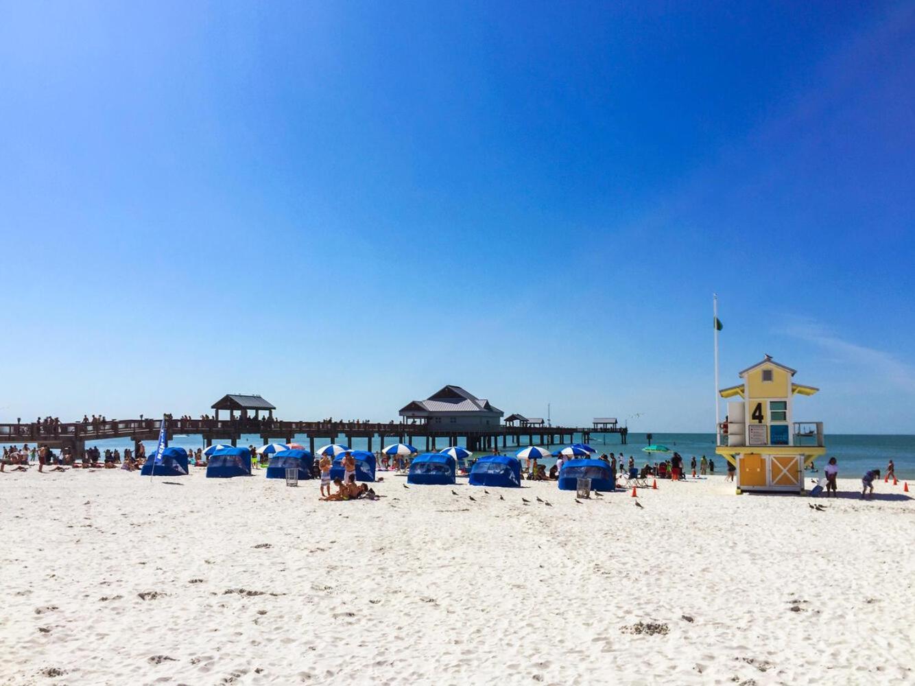 Belleair Monthly By Preferred Clearwater Beach