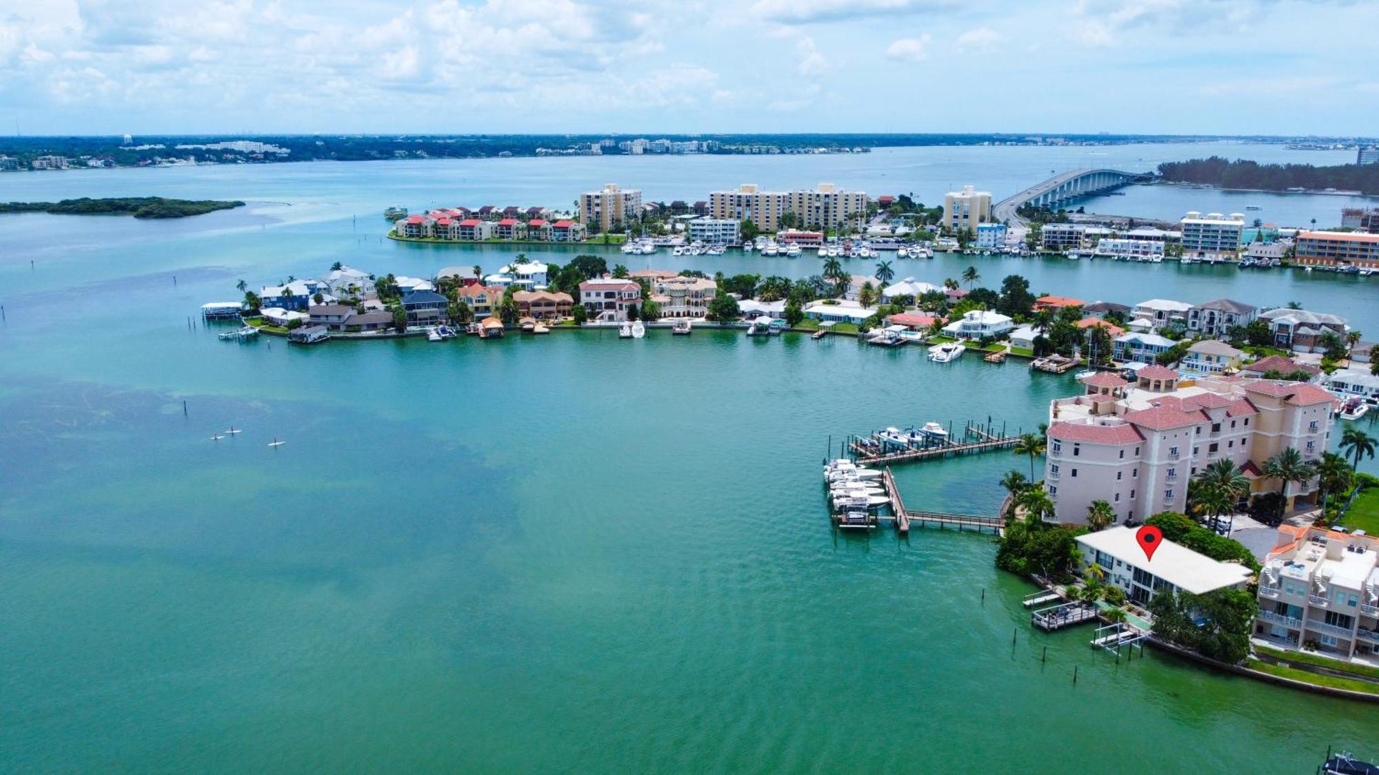 Bay Watch #1 - Weekly