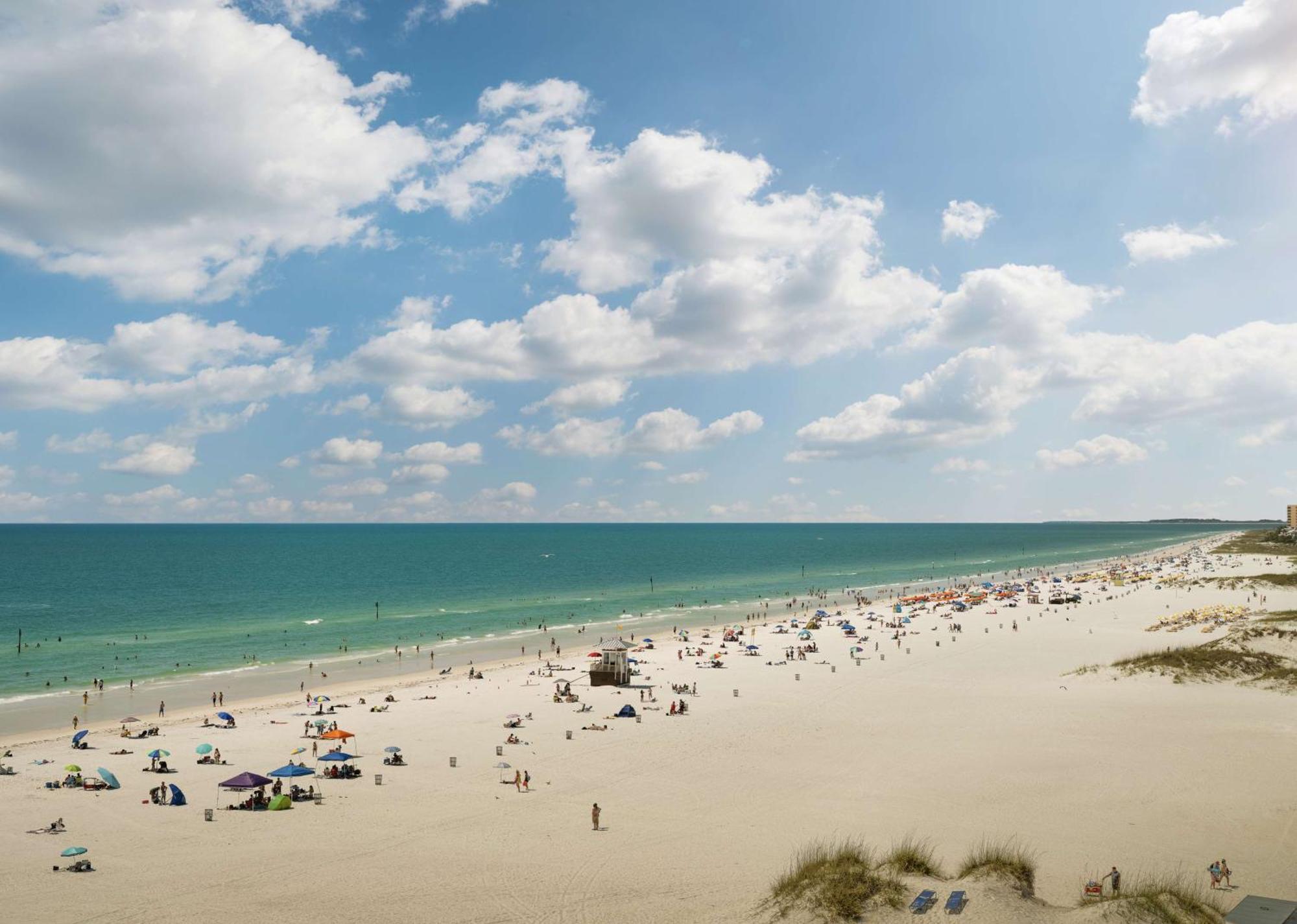 Resort Hilton Clearwater & Clearwater Beach