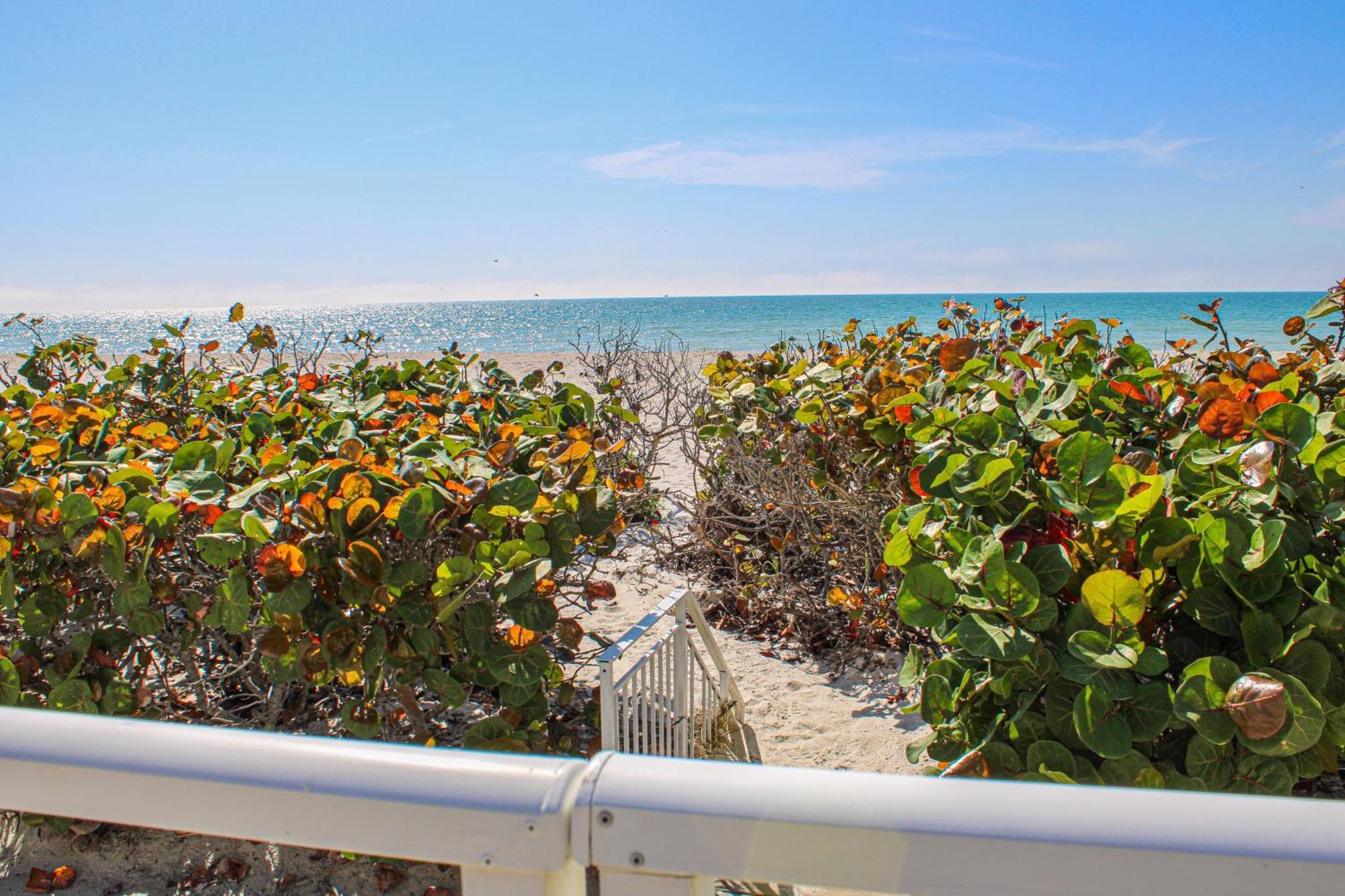 Belleair Key 203 * Clearwater Beach