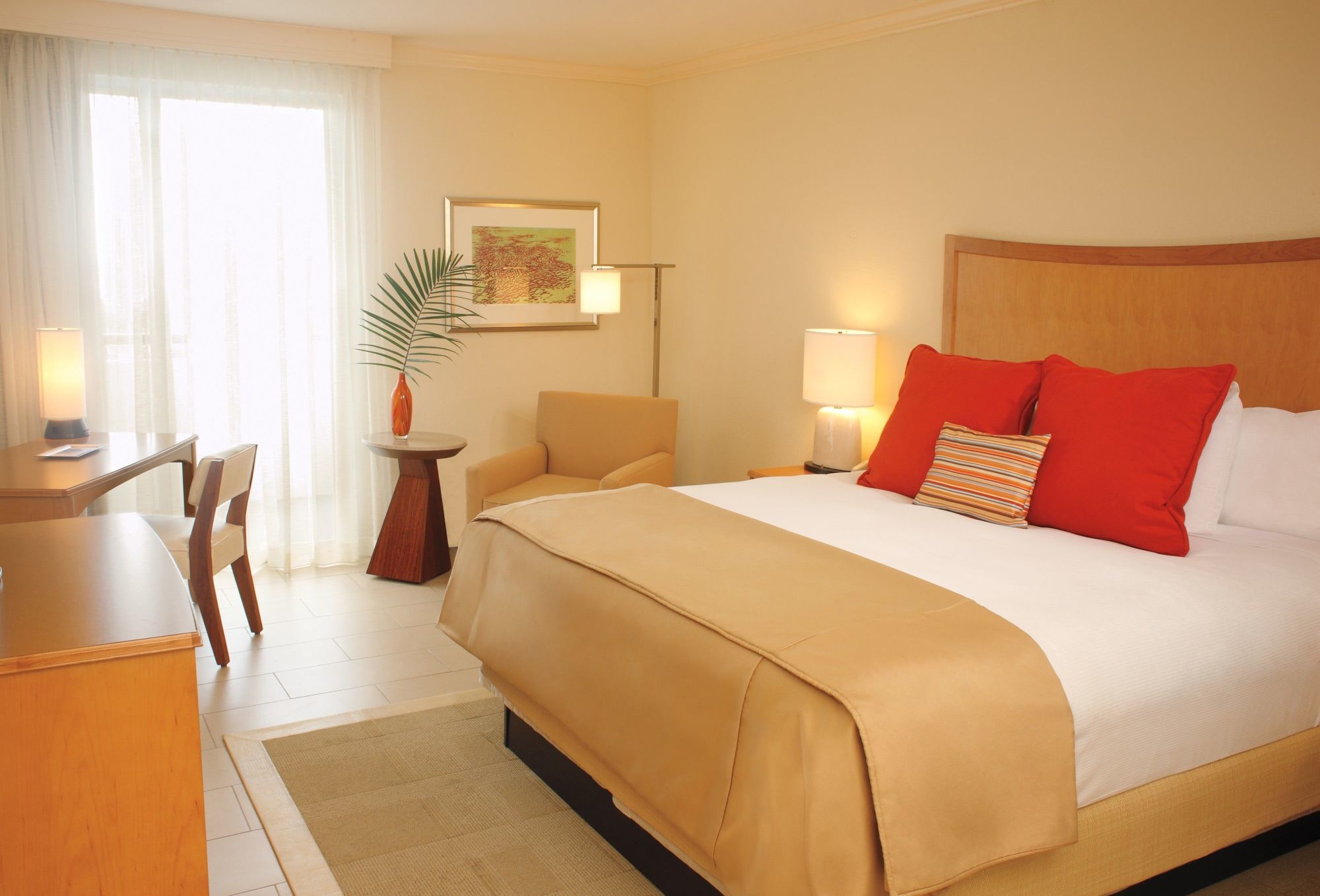Resort Hilton Clearwater & Clearwater Beach