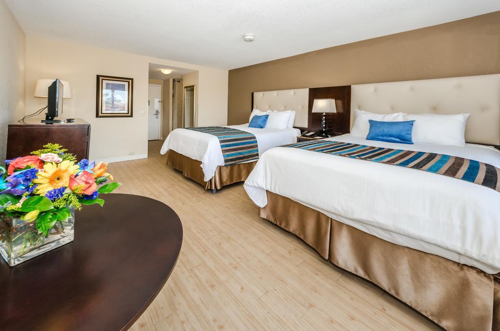 Dreamview Beachfront & 3*