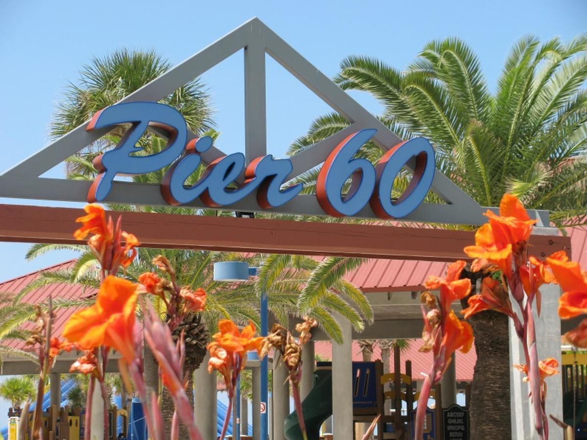 Island Flat 103 * Clearwater Beach