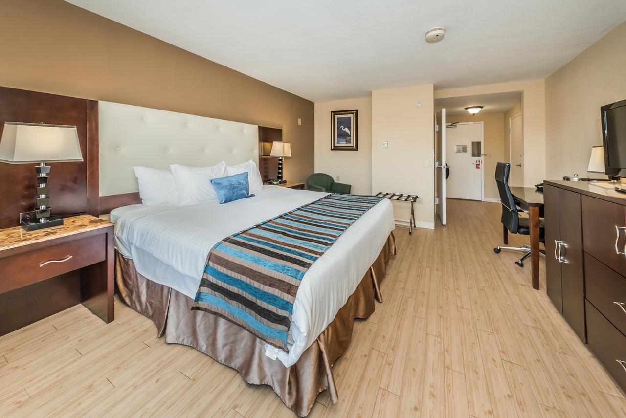 Dreamview Beachfront &