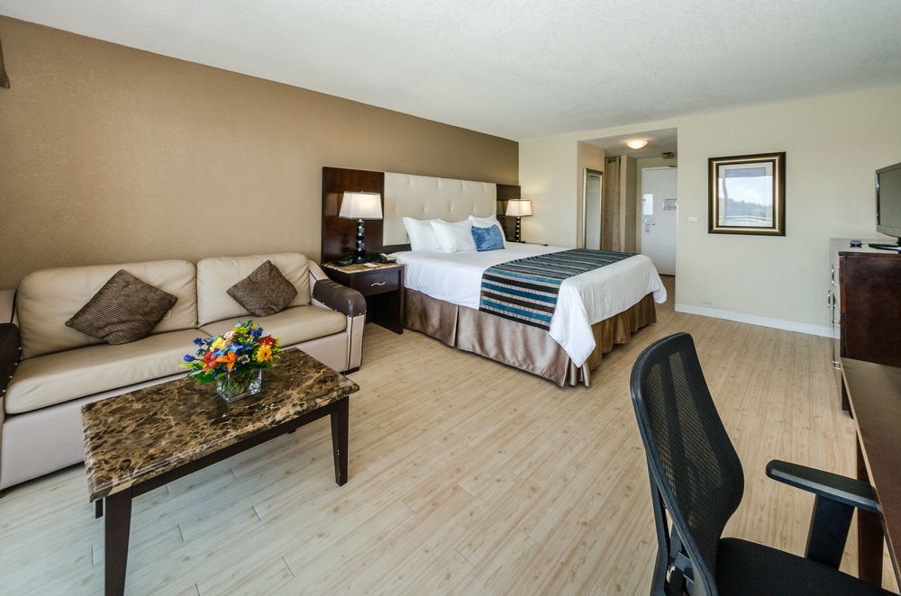 Hotel Dreamview Beachfront & 3*