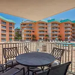 Beach Palms 102
