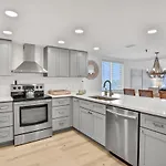 Sand Dollar 501