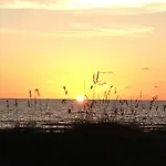 Pelican Beach Studio #8