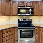 Beach Palms 508