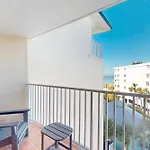 Beach Palms