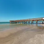Beach Palms