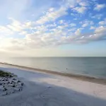 Sand Dollar 107
