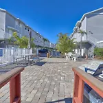 Sea Shell 14 - Premier