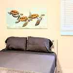 Sunny Shores Retreat 1