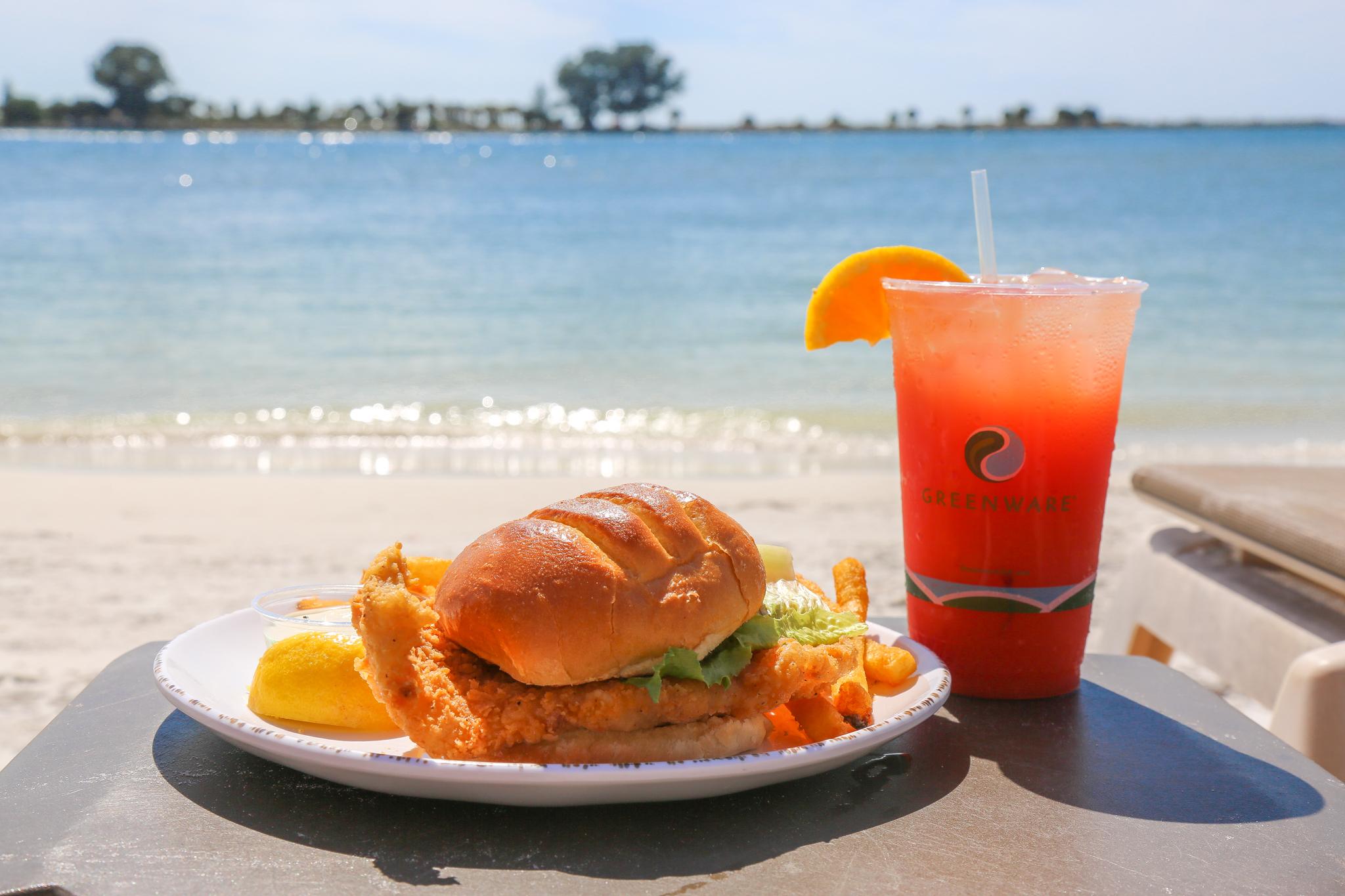 Hotel Winter The Dolphin's Club, Ascend Collection Clearwater Beach