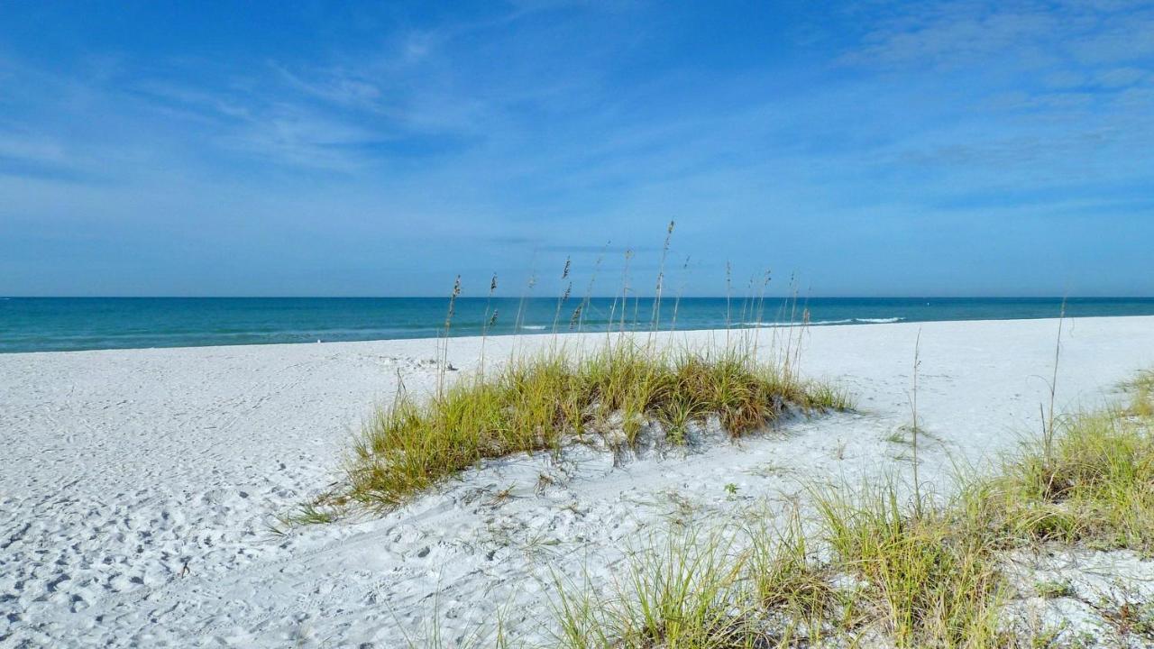 Beach Palms 102 Clearwater Beach