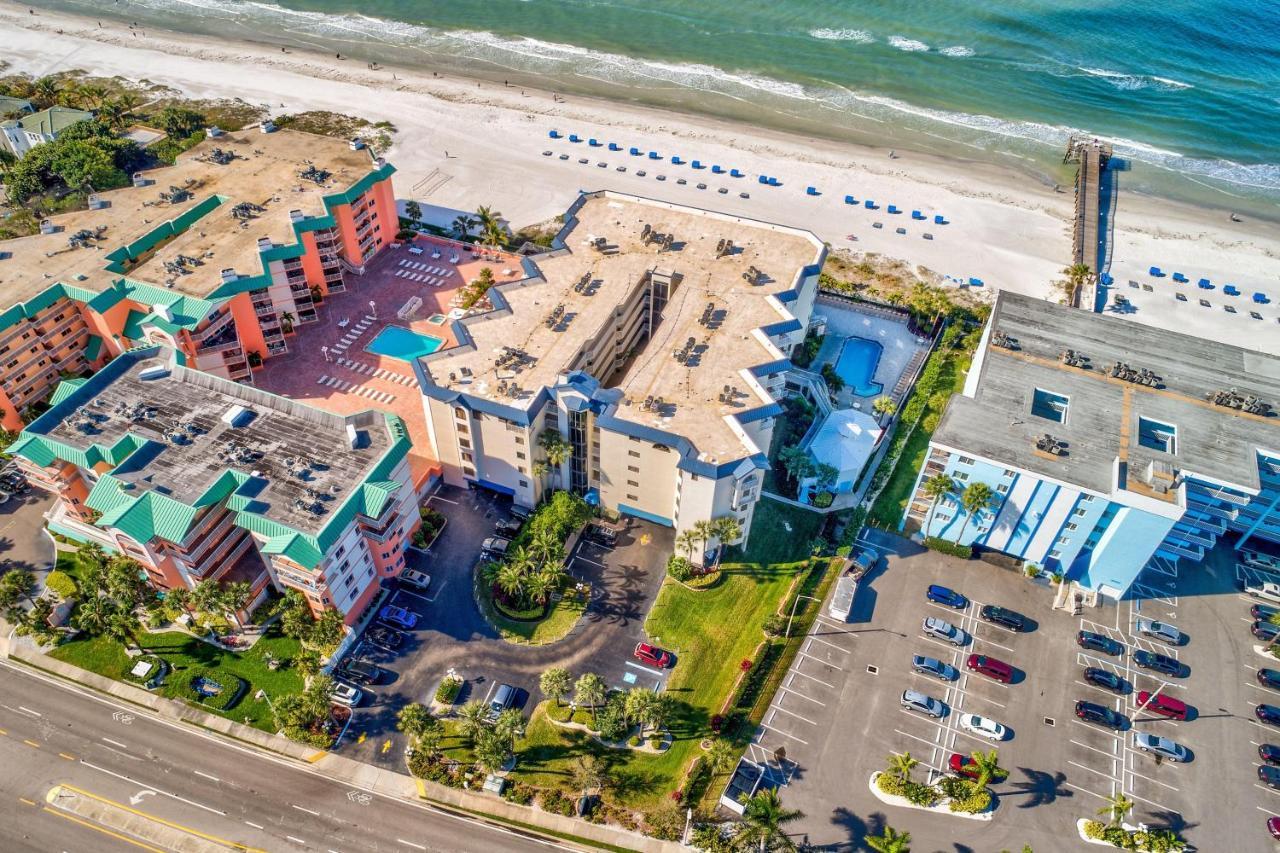 Beach Palms 102