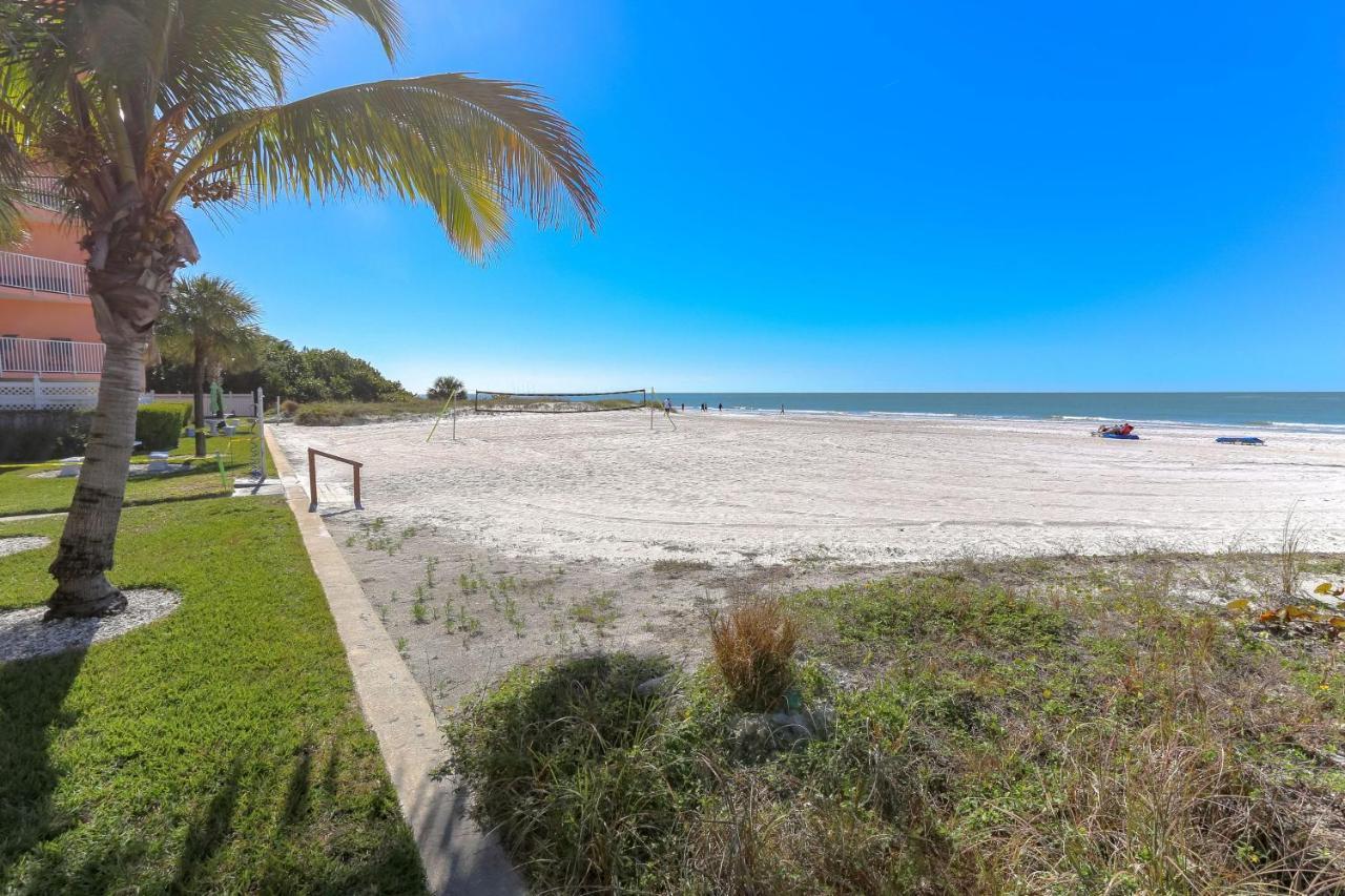 Beach Palms 102 *