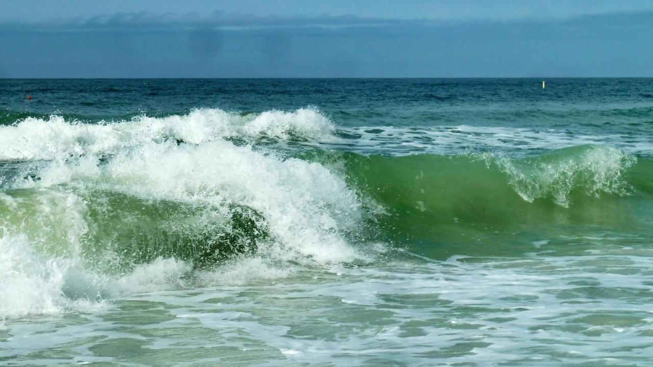 Sea Shell 14 - Premier Holiday home *