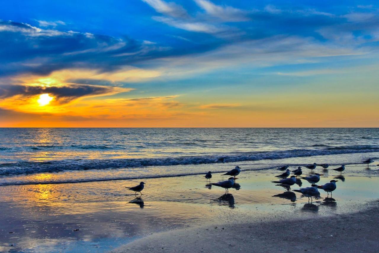 Paradise Found Clearwater Beach