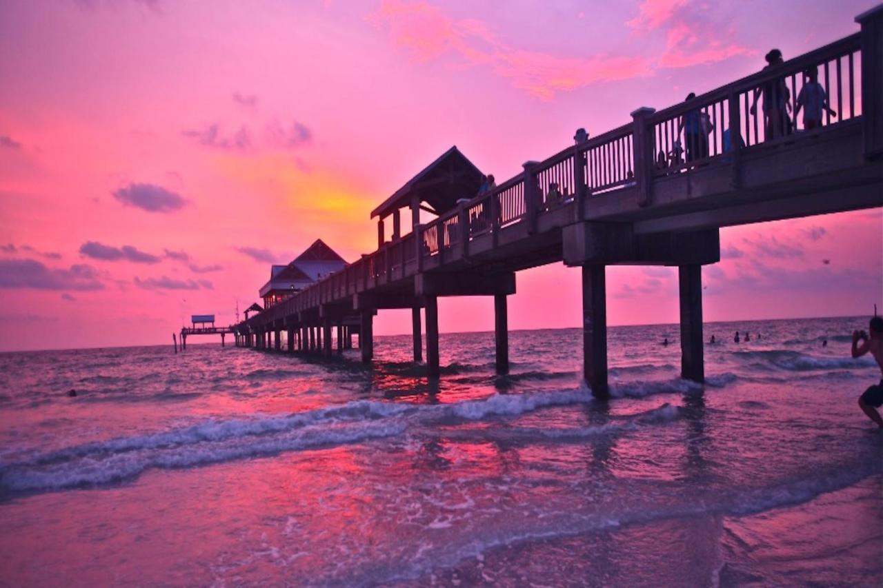 Paradise Found Clearwater Beach