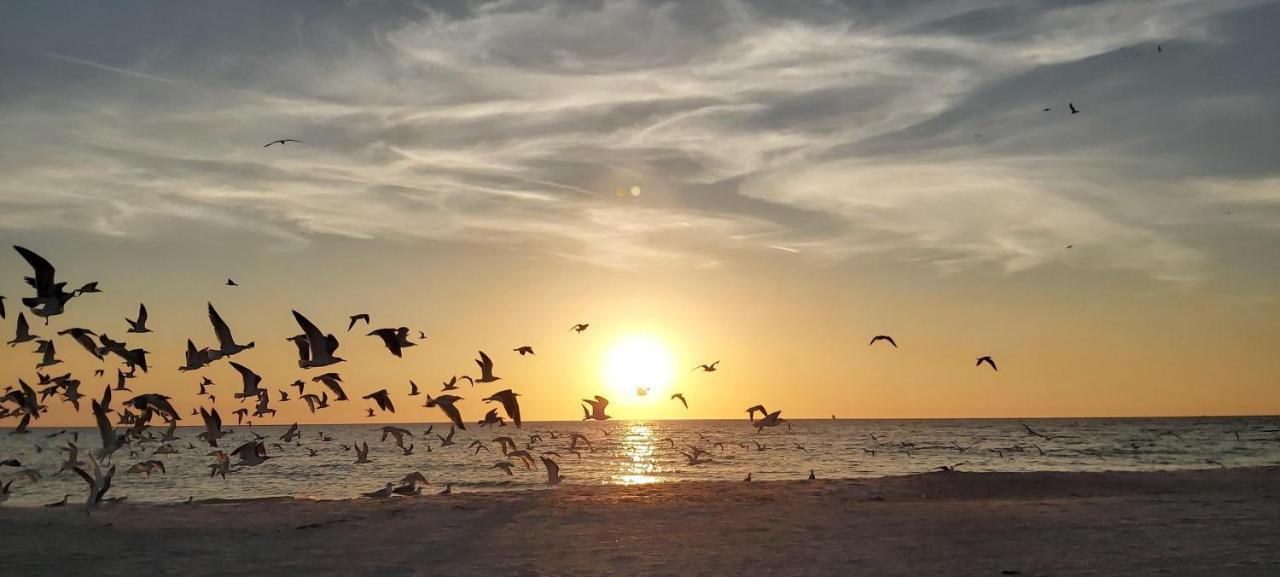 Holiday home Pelican Pointe 5b Clearwater Beach