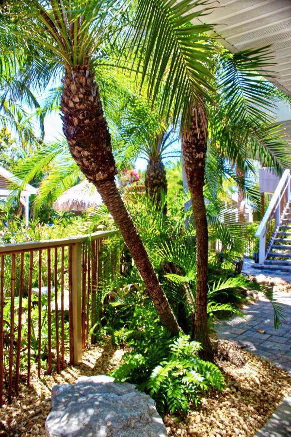 Coconut Grove 5 Apartment