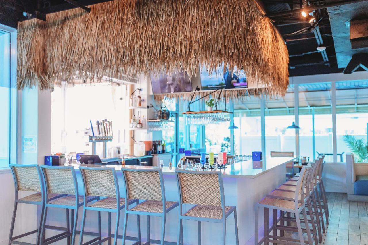 Hotel Winter The Dolphin's Club, Ascend Collection Clearwater Beach