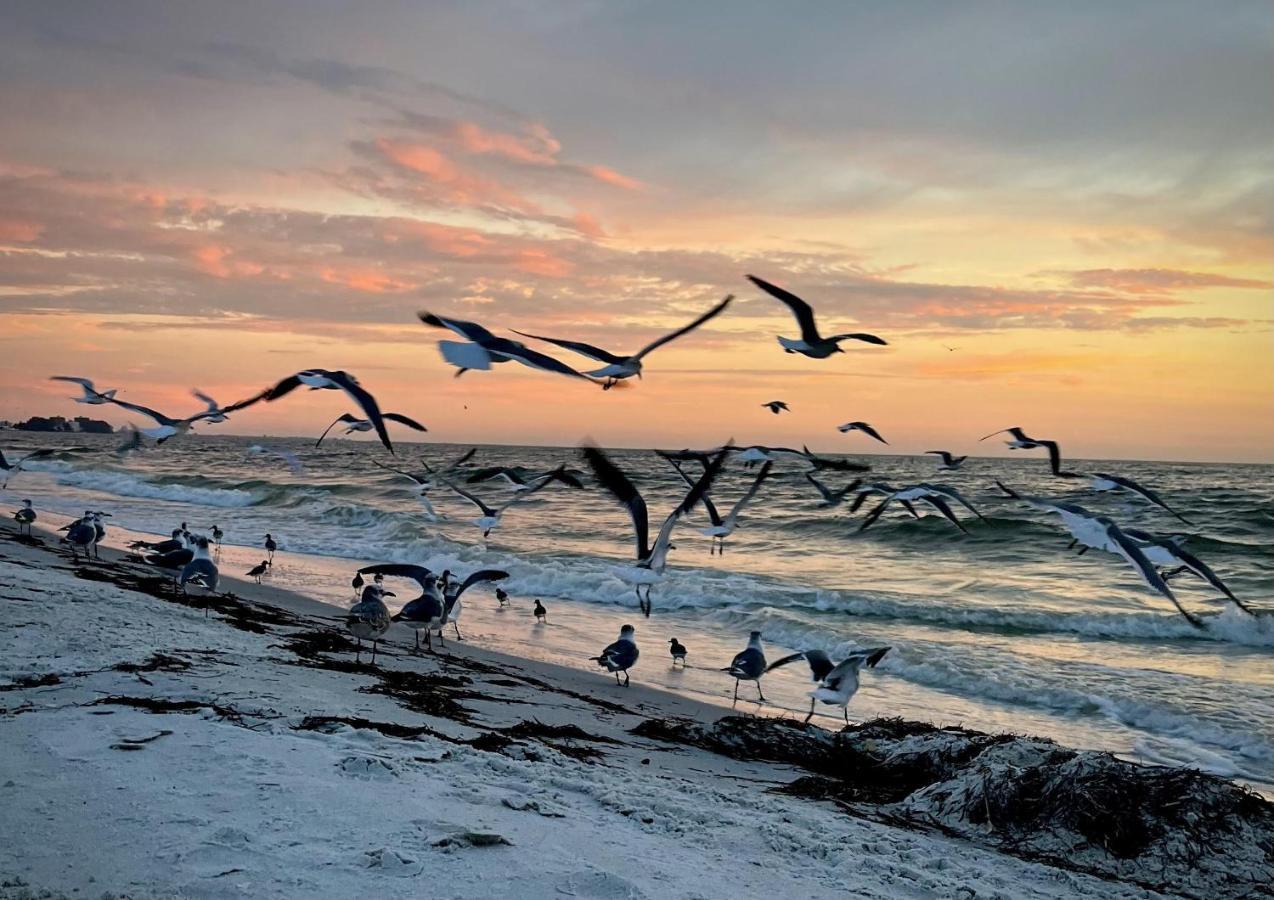 Apartment 2 Bed-1 Bath With Sunroom, Private Pool And Access! Clearwater Beach