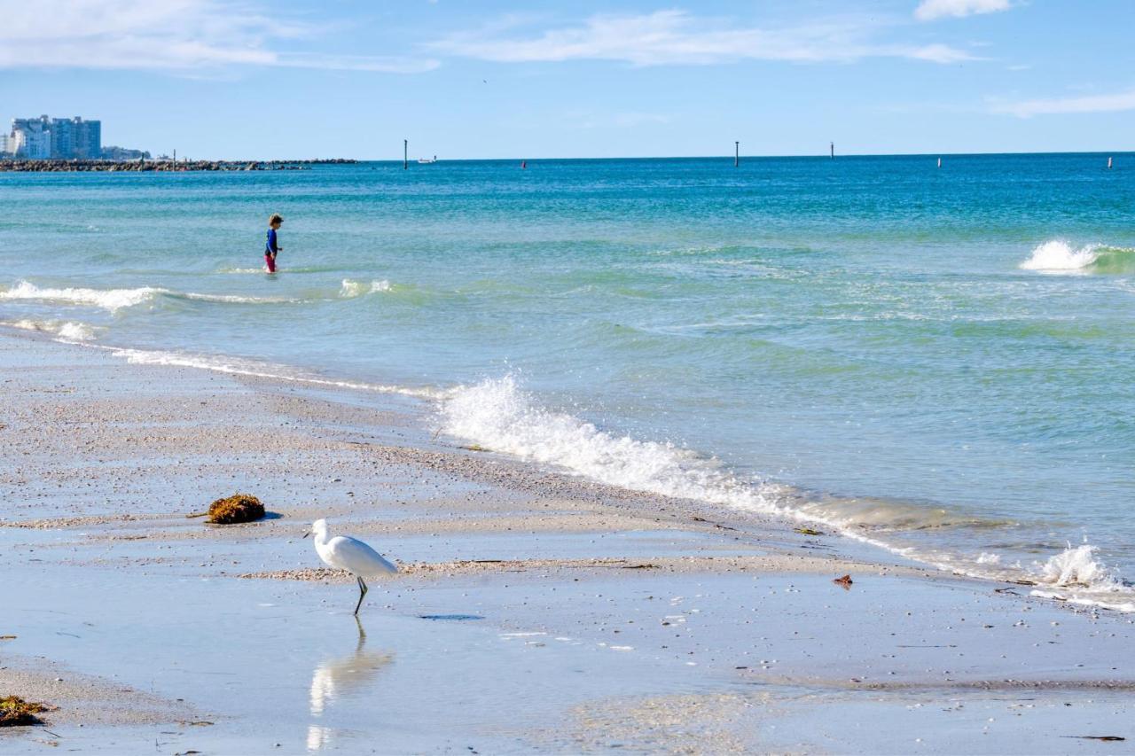 Clearwater Waterfront Modern 4bd 2big Open Loft 4bt With Pool Boat Deck Sleep 15 Holiday home *