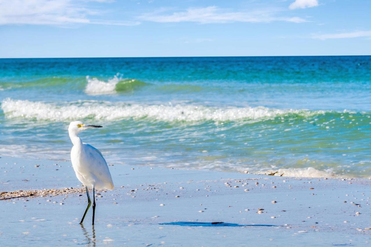 Clearwater Waterfront Modern 4bd 2big Open Loft 4bt With Pool Boat Deck Sleep 15 Holiday home *