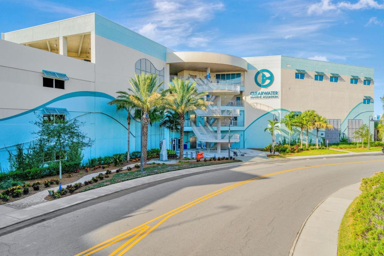 Clearwater Waterfront Modern 4bd 2big Open Loft 4bt With Pool Boat Deck Sleep 15