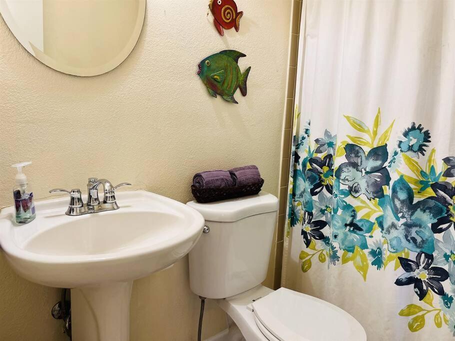 Large Backyard With Heated Pool/ Near