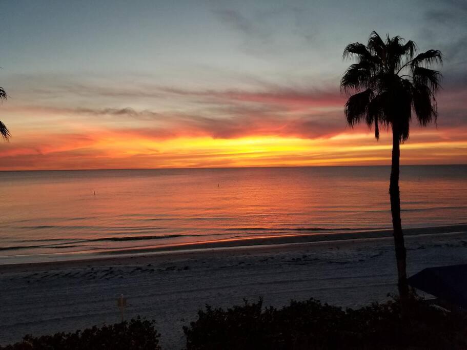 Irb Surf House Waterfront Oasis+ Sunshine +fun Kayaks Clearwater Beach