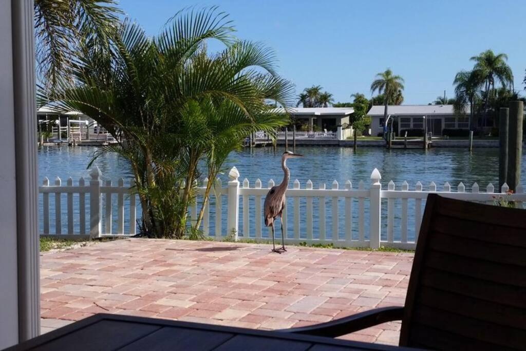 Holiday home Irb Surf House Waterfront Oasis+ Sunshine +fun Kayaks