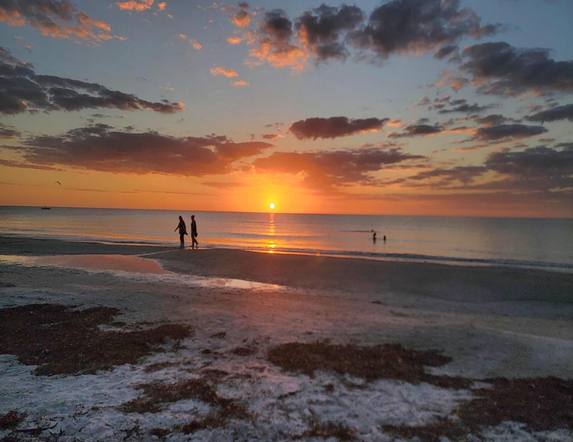 Casa Mar Y Palmera 202a Clearwater Beach