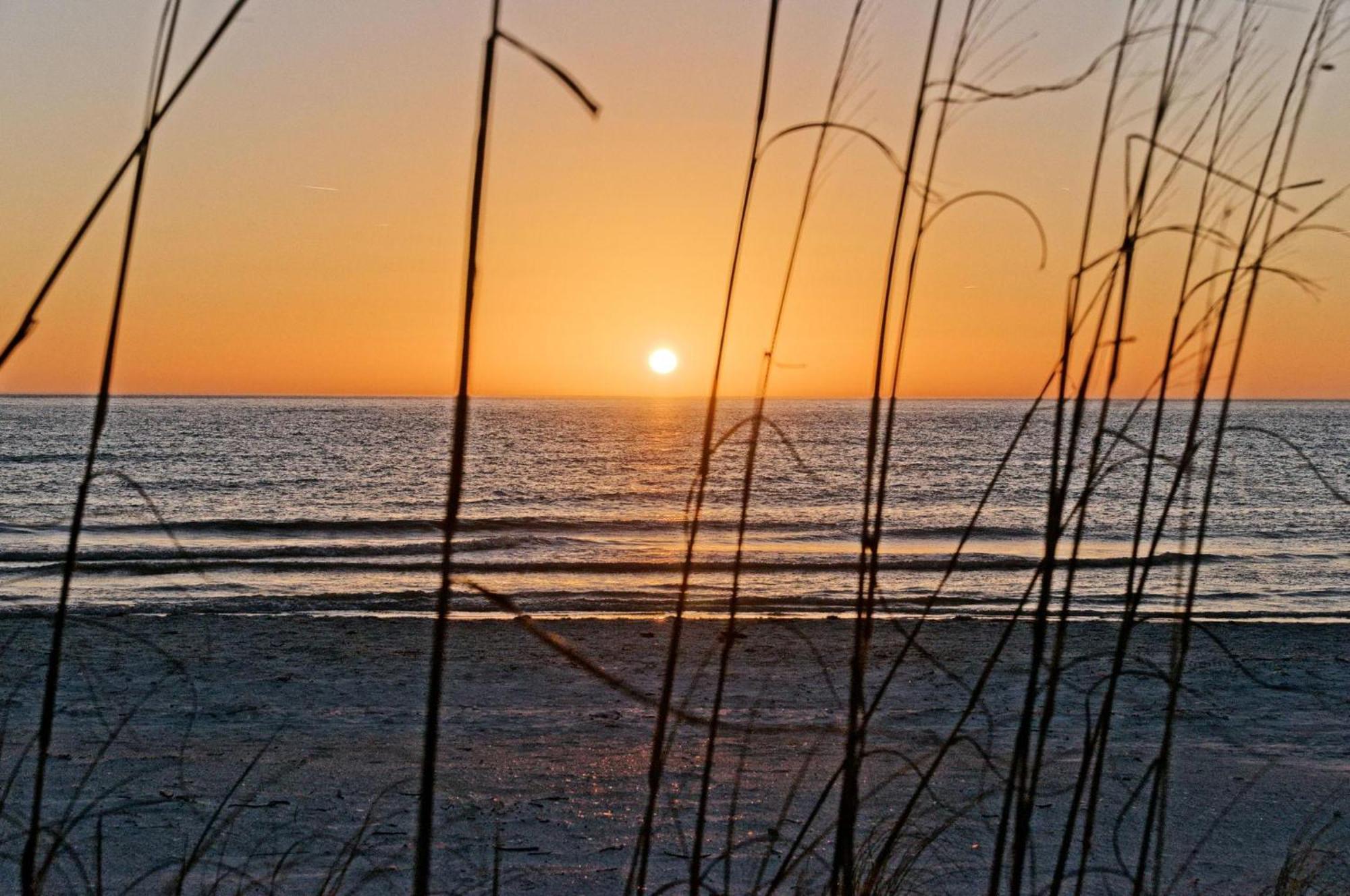 Starfish House Holiday home Clearwater Beach