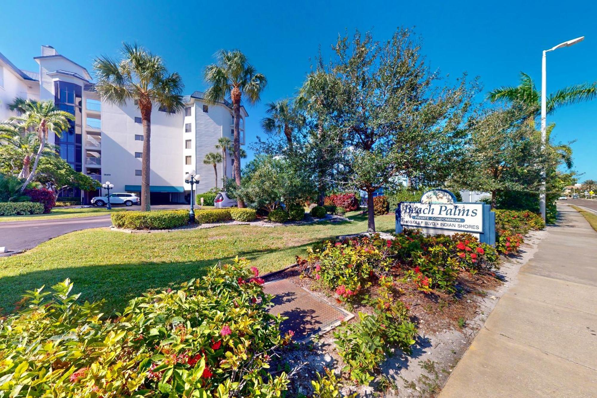 Palms * Clearwater Beach