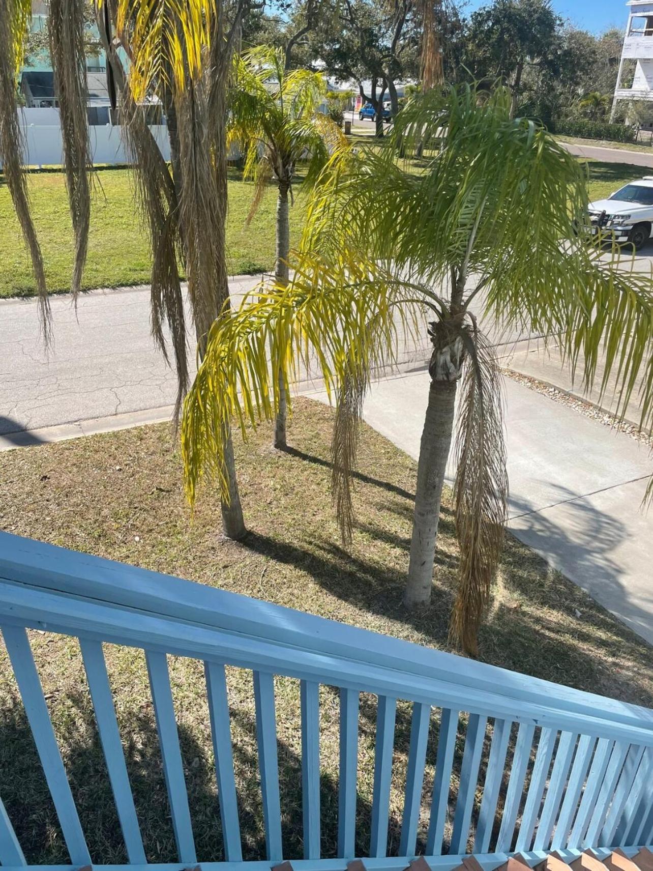 Apartment Tropical Coastal Oasis East Clearwater Beach