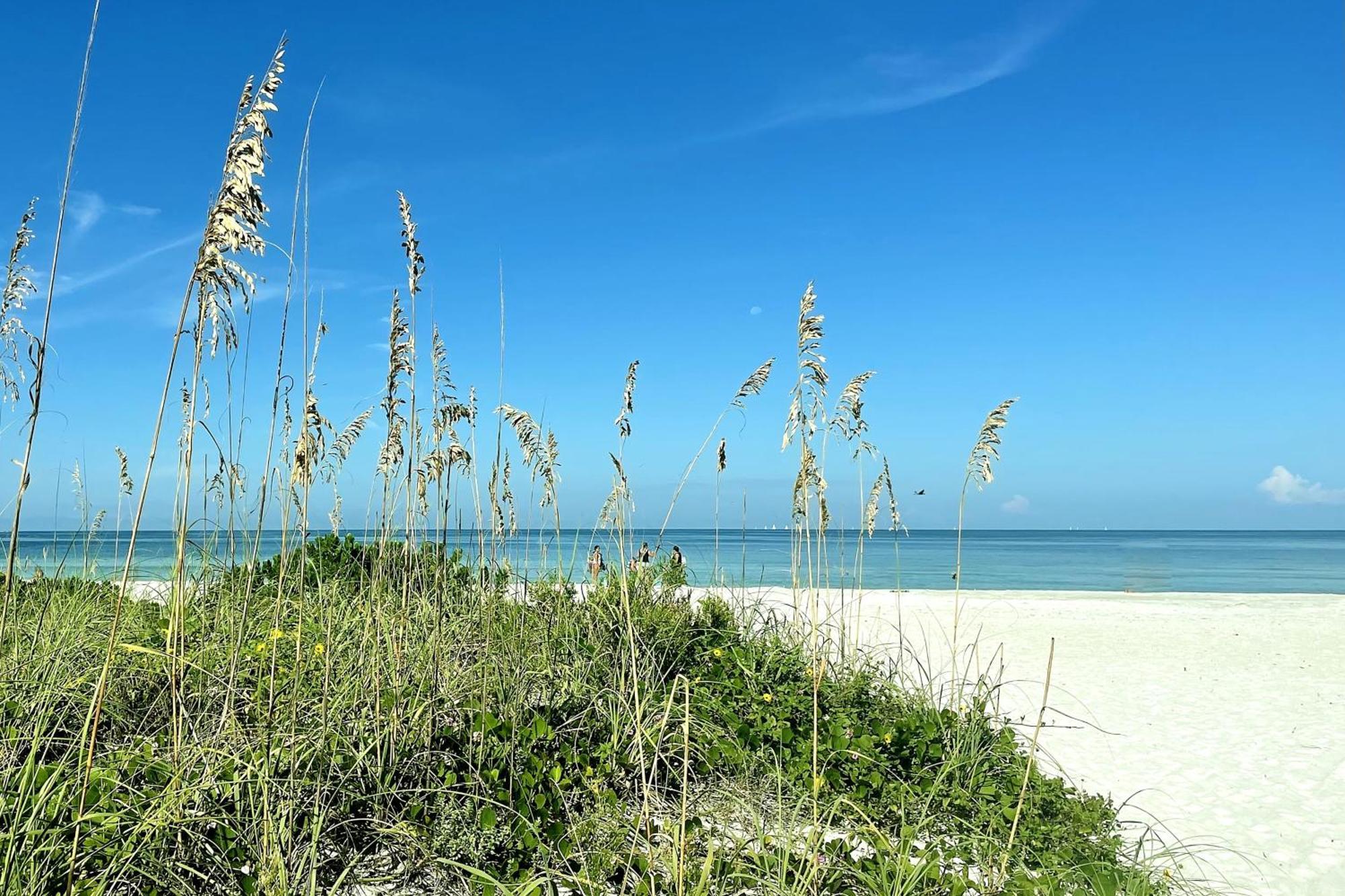 Out Of Office Oasis Holiday home *