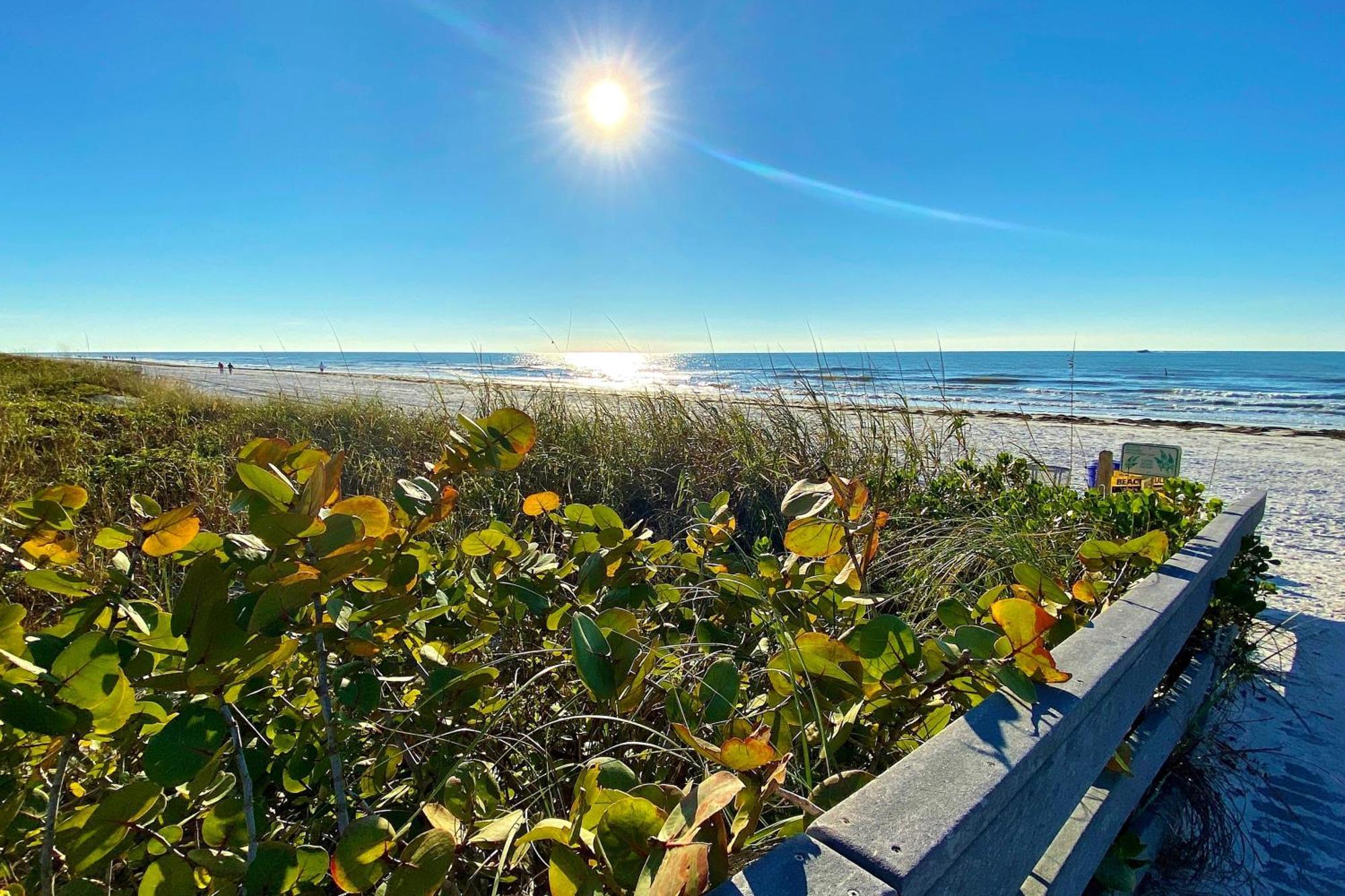 Out Of Office Oasis Clearwater Beach